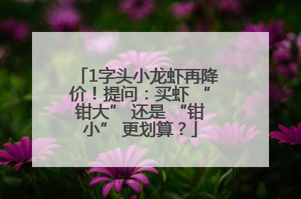 1字头小龙虾再降价！提问：买虾 “钳大” 还是 “钳小” 更划算？